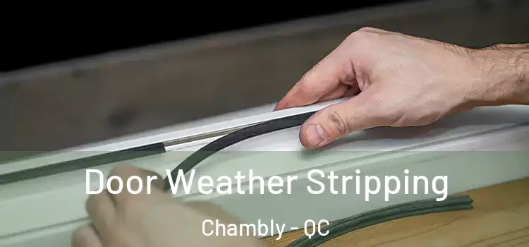 Door Weather Stripping Chambly - QC