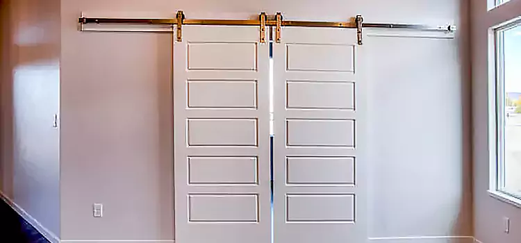 Glass Barn Door with Installation Hardware Kit Chambly