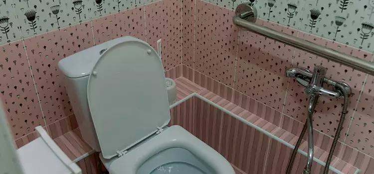 Meeting Diverse Needs With Accessible Restroom Solutions in Chambly, QC