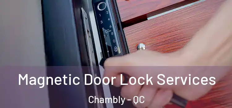 Magnetic Door Lock Services Chambly - QC